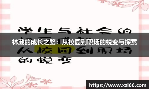 OB视讯官网