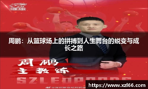 OB视讯平台